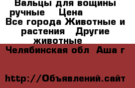 Вальцы для вощины ручные  › Цена ­ 10 000 - Все города Животные и растения » Другие животные   . Челябинская обл.,Аша г.